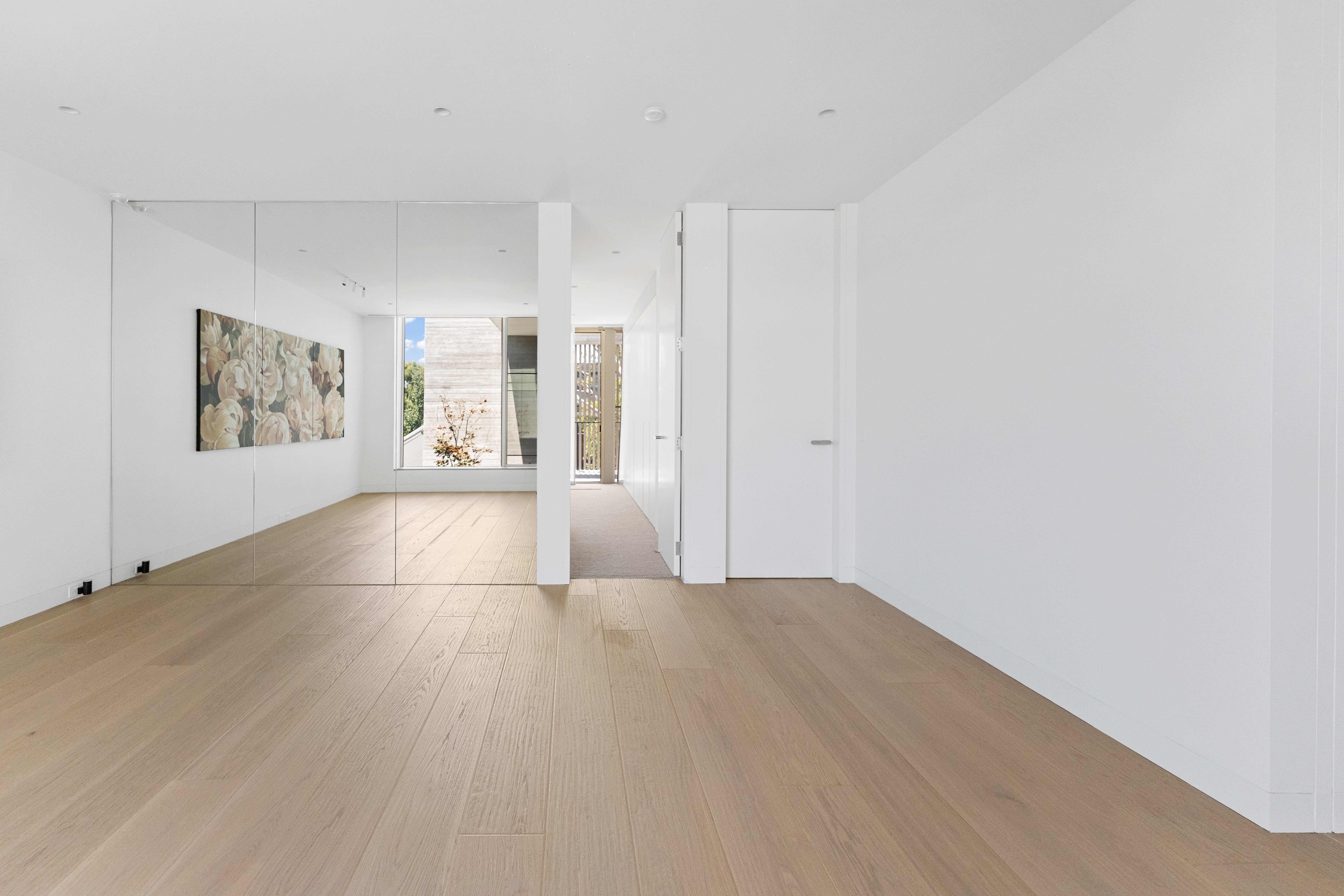 Pristine wide-plank timber floor in natural light